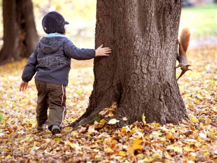 Bimbi tolti ai genitori: ma è crudeltà o tutela?