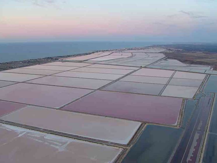 I francesi conquistano il nostro sale