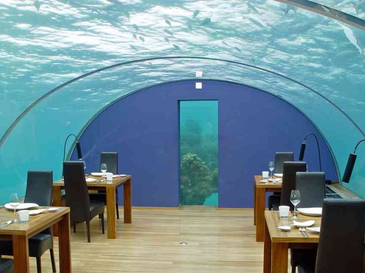 La cura arriva dagli oceani: l'ospedale che non ti aspetti