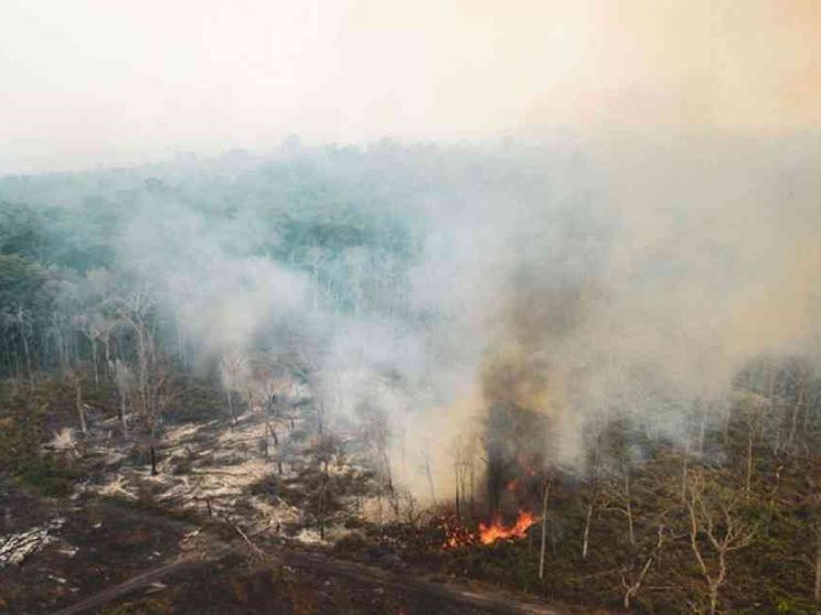 Senza l'Amazzonia per il mondo c'è poca speranza di vita