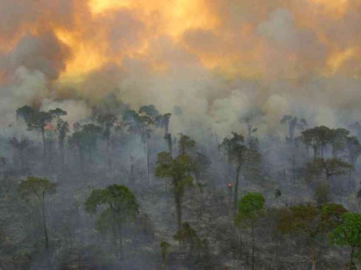 Bolsonaro si prende l'Amazzonia: «Non è patrimonio dell'umanità»