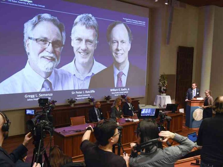 Nobel per la Medicina agli studiosi del «respiro» delle cellule