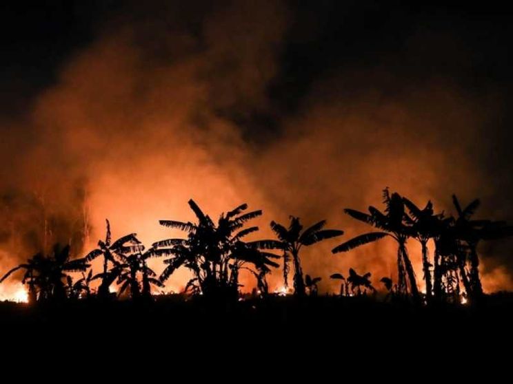 Dire Amazzonia e "vederla" per costruire un giusto futuro