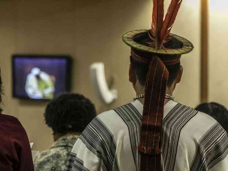 «Così l'Amazzonia ci insegna a coniugare uomo e natura»