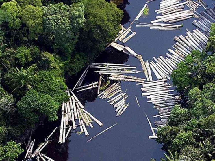 Tutela della casa comune: «Nessuno può dire io non c'entro»