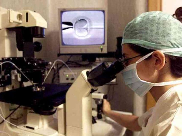 Figli in provetta solo con mamma e papà