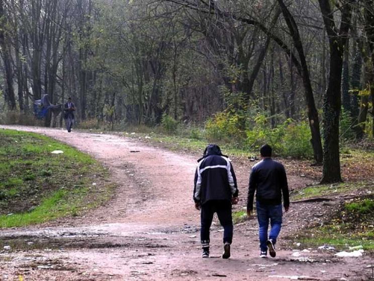 Le comunità: droga, serve una nuova legge e un giro di vite
