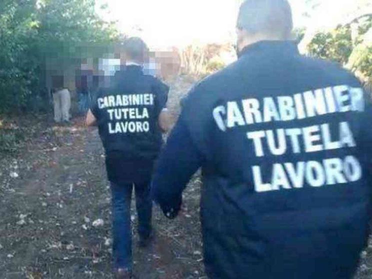 Sfruttata dai caporali abortisce nei campi. Inchiesta ad Agrigento