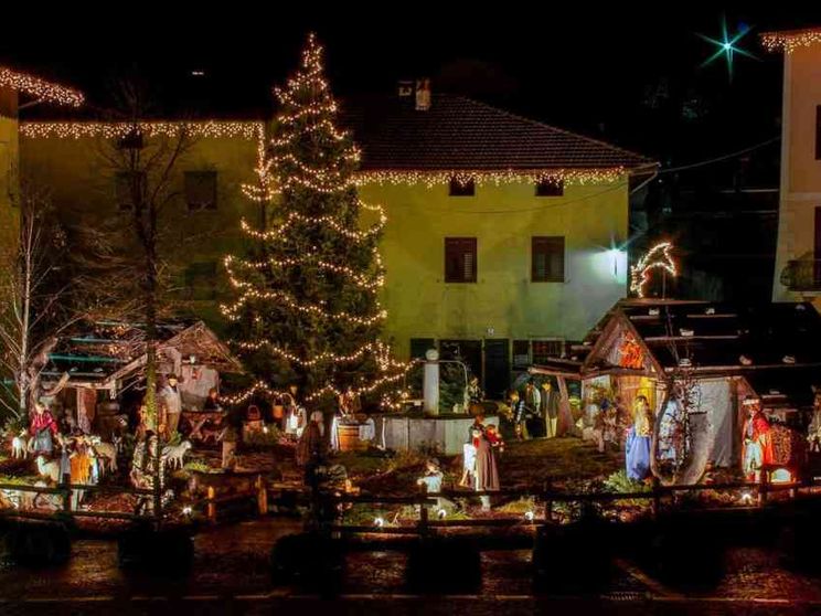 Dal Triveneto il presepe e l'albero di Natale per Piazza San Pietro