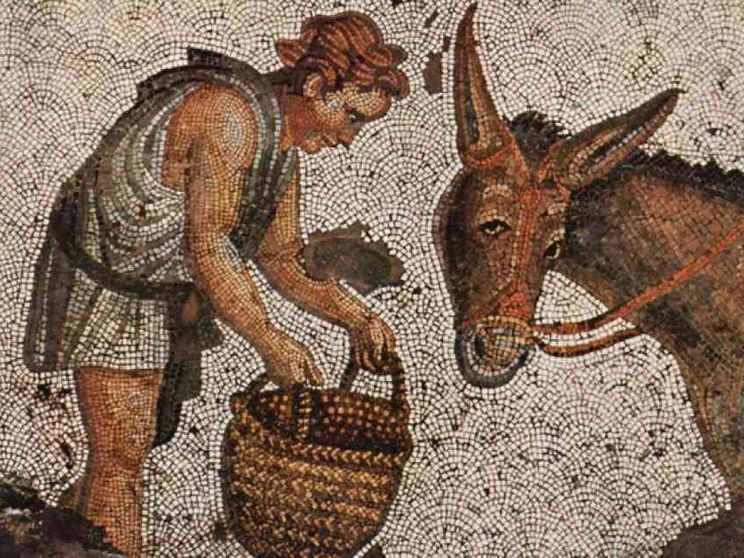 Povera filosofia ridotta a ricetta terapeutica