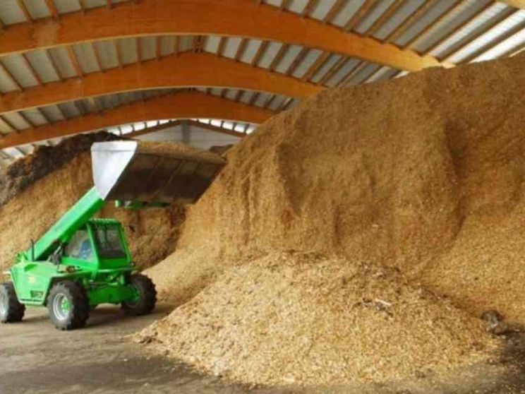 Bioeconomia dei rifiuti organici e delle biomasse