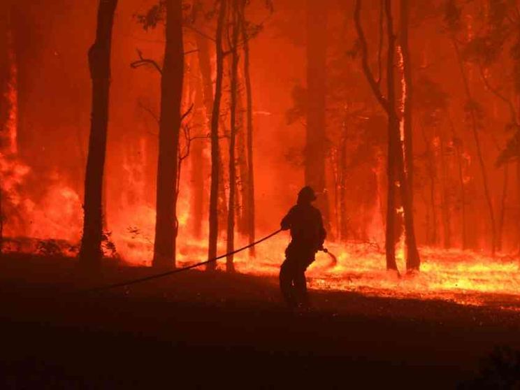 Gli incendi stanno devastando l'Australia