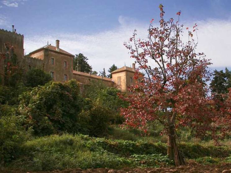 «Il nostro Natale a Tibhirine, alla scuola dei monaci trappisti martiri»