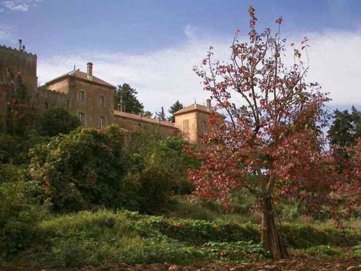 «Il nostro Natale a Tibhirine, alla scuola dei monaci trappisti martiri»