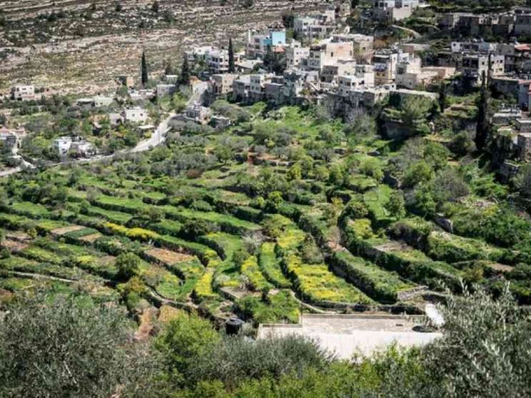 Palestina, la sfida di Battir il villaggio dell'«Intifada verde»