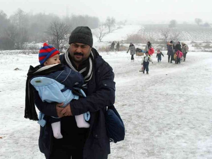 Migranti come lupi e orsi. Trieste vuole le fototrappole