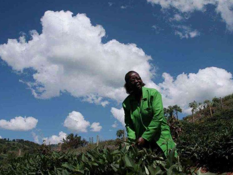 Così i contadini del Kenya vanno a scuola di sostenibilità