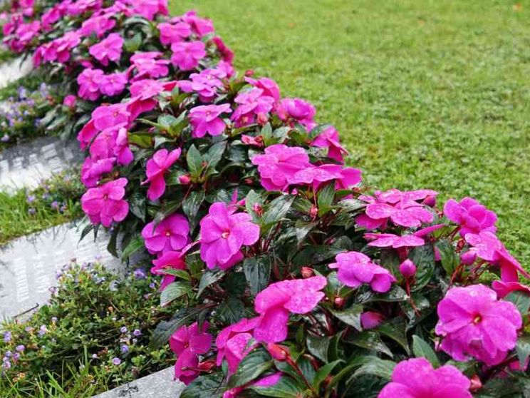 Se il caro estinto diventa concime da giardino