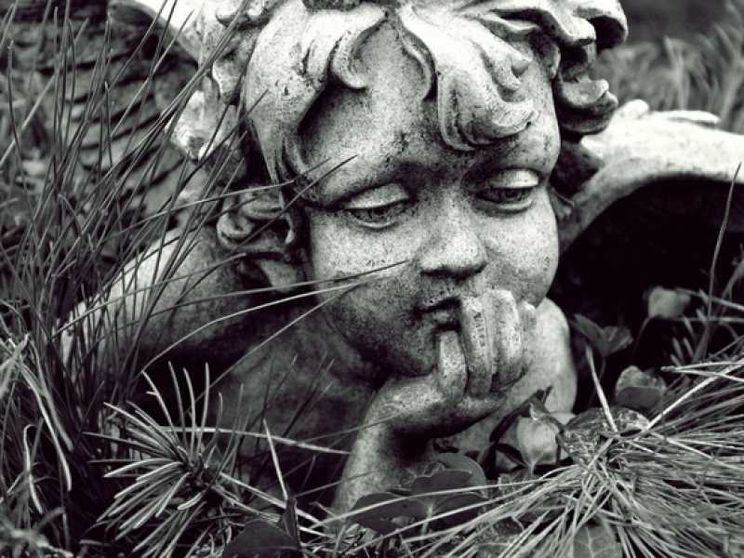 Se il corpo è ridotto a concime