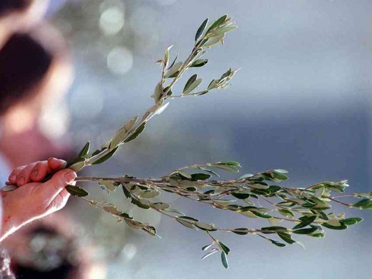 Barzanò, il Comune posa un ramoscello d'ulivo su ogni tomba