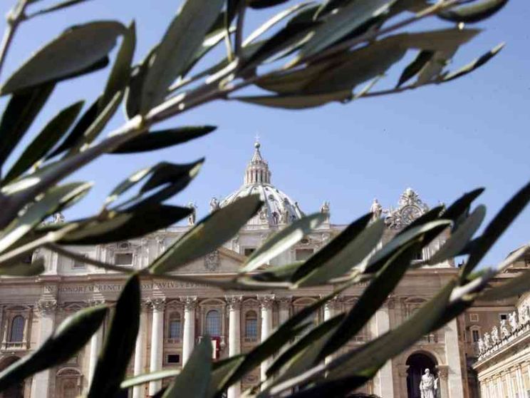 Domenica delle Palme senza ulivo? La Cei: «Basta una pianta verde»