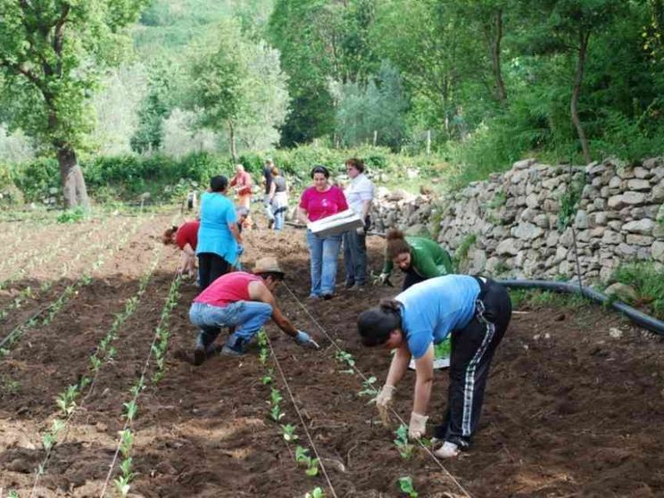 Coldiretti: lavoro nei campi, al via la piattaforma jobincountry