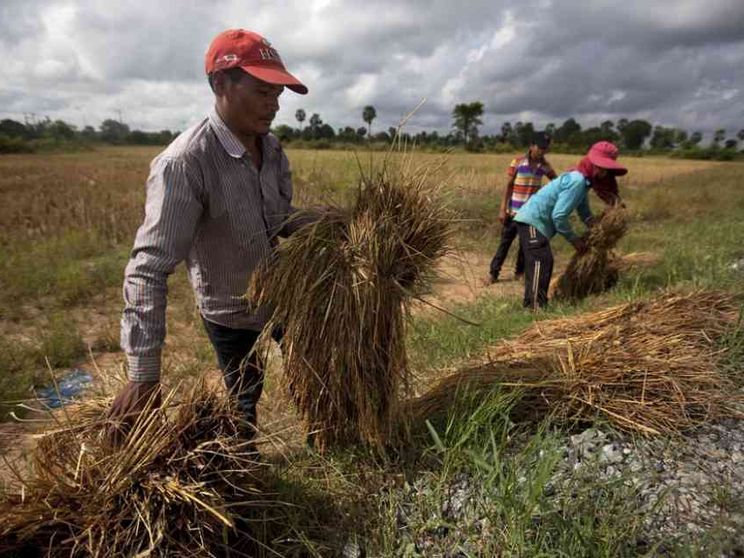Molti lavori da ri-valutare costruendo nuove relazioni