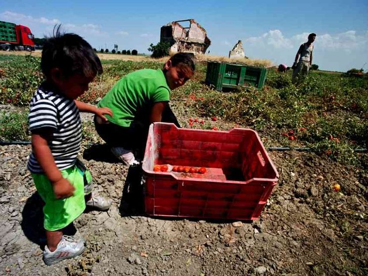 Pressing per la regolarizzazione
