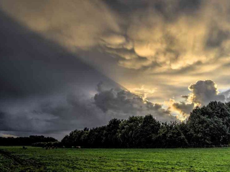 Uscire e tornare a vivere: il nuovo sguardo di re Théoden