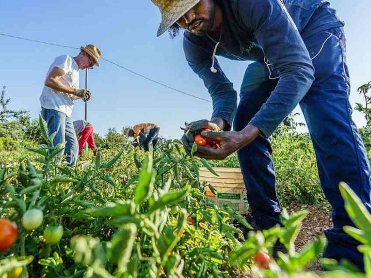 Regolarizzare, una questione di civiltà