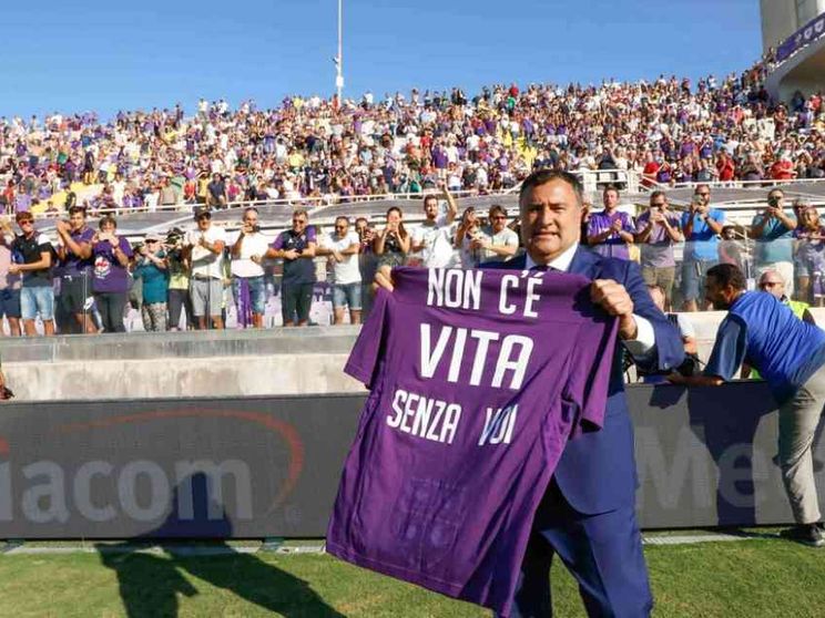 Rinascimento viola di Joe il temerario