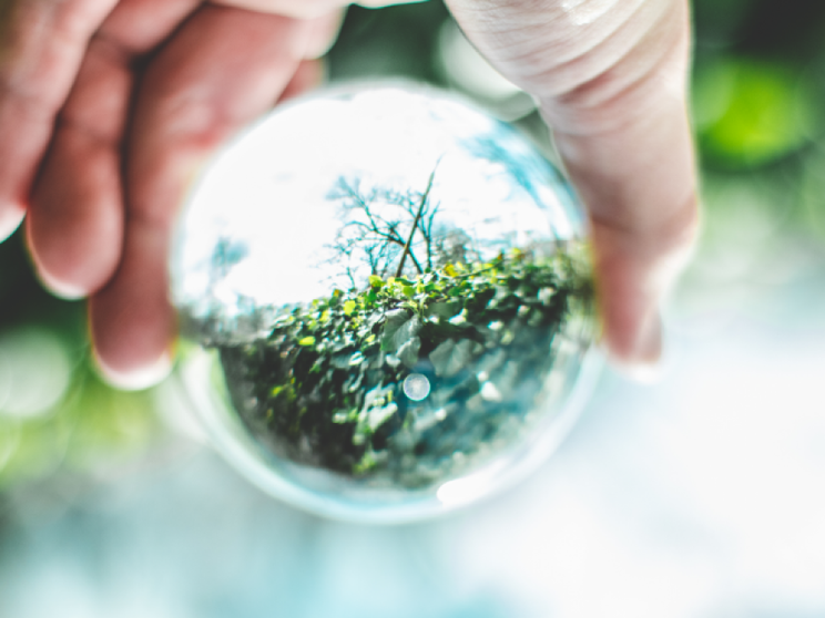 Lavori "verdi", prime stime per un futuro sostenibile