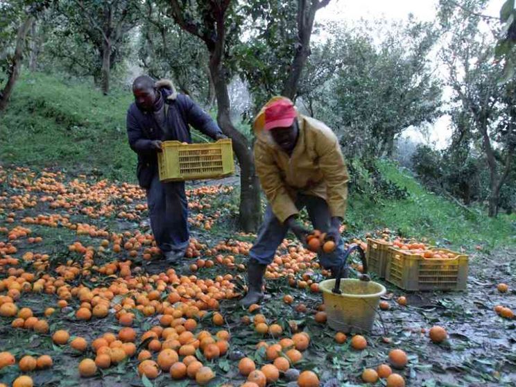 I vescovi della Calabria: è necessario liberare i territori dai caporali