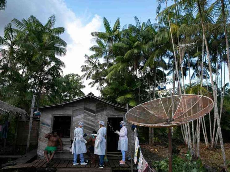 Artisti e scienziati rispondono al grido di aiuto dei popoli dell'Amazzonia