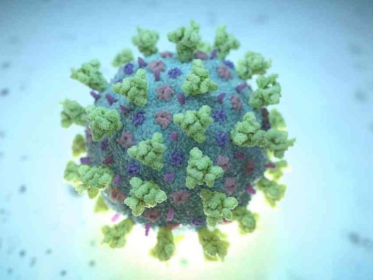 C'è la prova: è il lockdown ad aver cambiato il virus