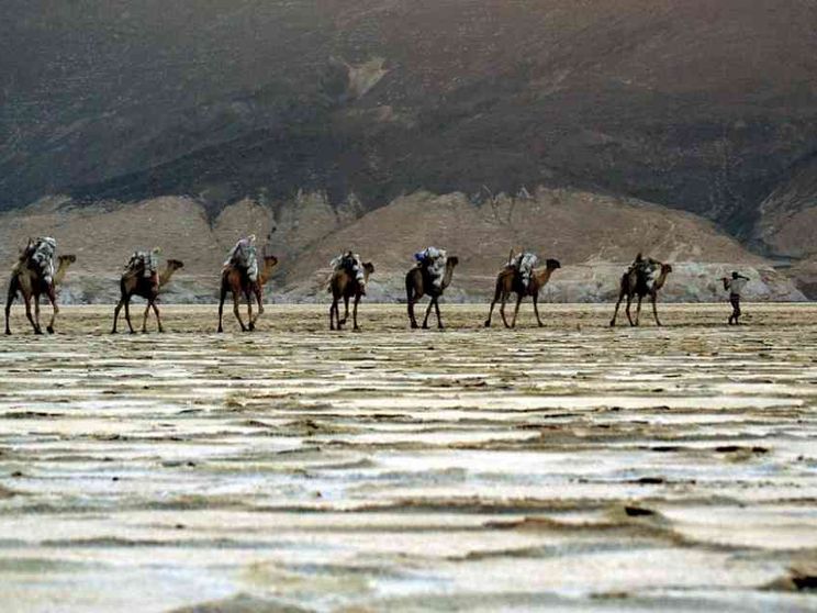 Eritrea, il regime sferza l'ex Dancalia. «Noi vessati con la scusa del Covid»