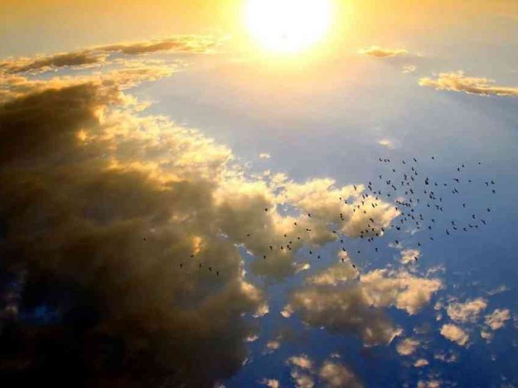 La Laudato si' in cammino