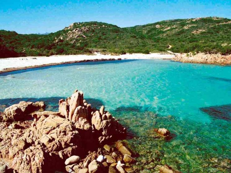 «Durante il ricovero per Covid ho capito la sfida ecologica»