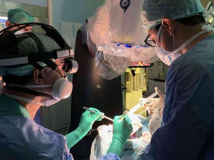 Tumori, così il robot "introduce" il chirurgo nel cervello del paziente