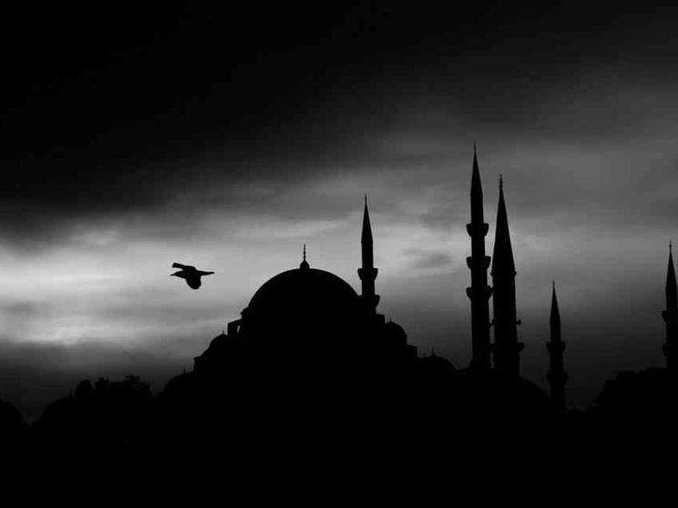 Le radici della crisi dell'islam tra jihadismo e islamofobia