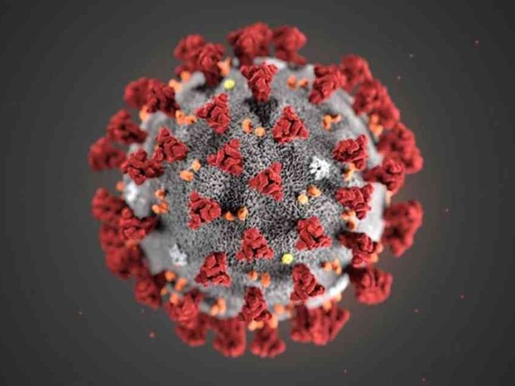 Le mutazioni del virus: quante sono state e perché fanno paura