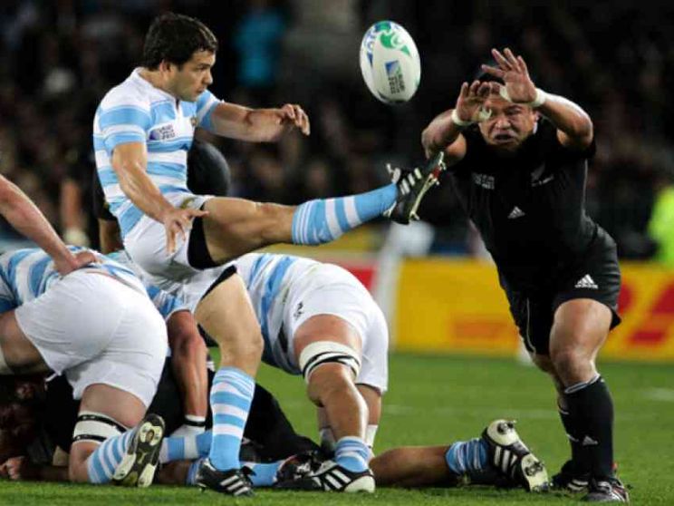 Le macchie dei Pumas: i trionfi e le ombre dell'Argentina del rugby