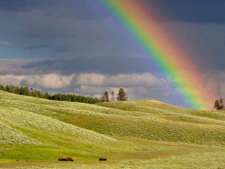 Se l'arcobaleno insegna che cosa sia la presenza