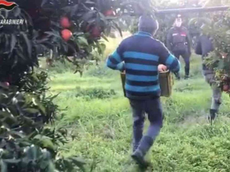 Schiavi per tre euro all'ora. Il caporalato è made in Italy