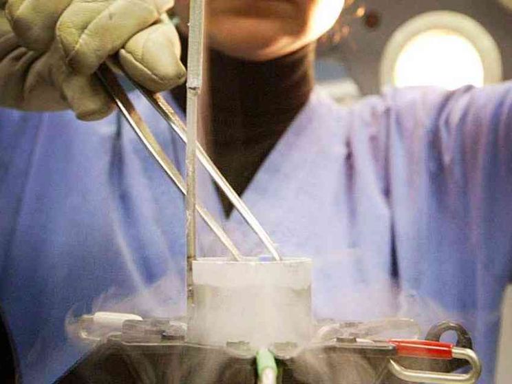 "Embrioni viaggiatori": tra India e Ucraina la rotta dell'utero in affitto