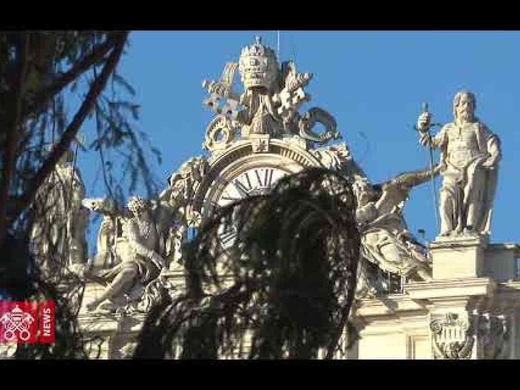 L'albero di Natale arriva in Piazza San Pietro
