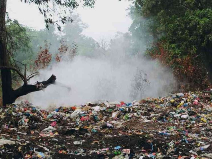 Ecomafie, crescono i reati del 23%, affari dei clan per 20 miliardi