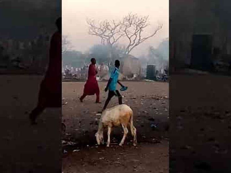 Attentato di Boko Haram: 27 vittime. Erano profughi