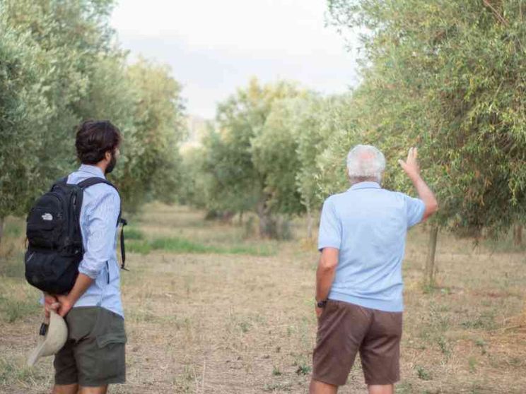 La startup siciliana e l'olio "a impatto positivo"