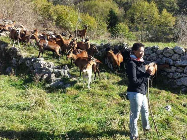 Confessa l'assassino di Agitu: è un suo dipendente